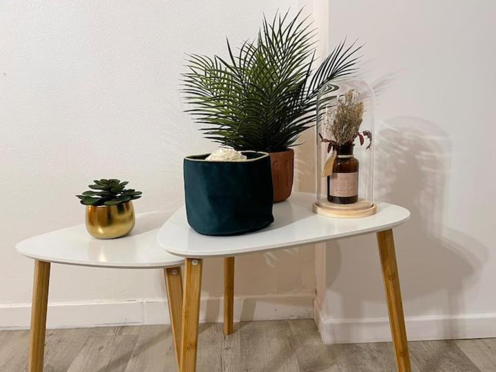 Comme Un Air De Provence A Blois Apartment ภายนอก รูปภาพ